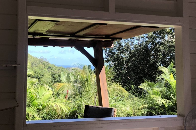 Le Palmier Royal 18060_image00045 recoupée.jpeg